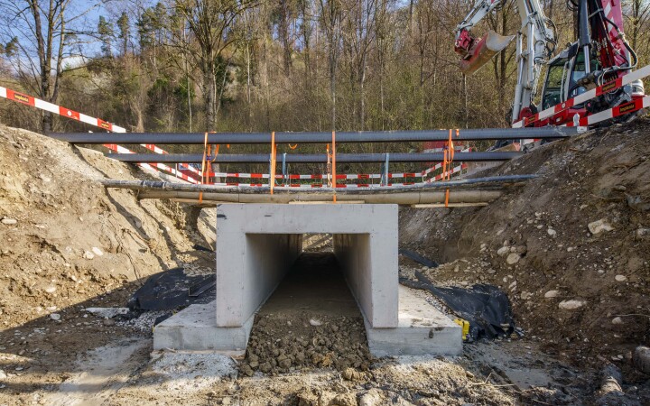 bsb news vse laupen amphibien biber 05