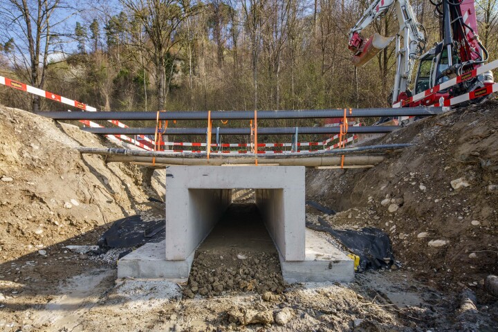 bsb news vse laupen amphibien biber 05