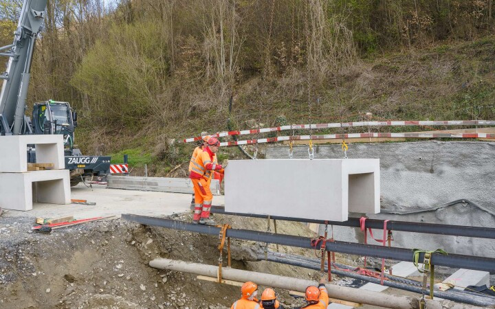 bsb news vse laupen amphibien biber 06