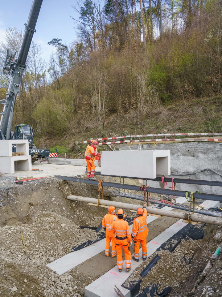 bsb news vse laupen amphibien biber 06