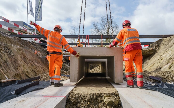 bsb news vse laupen amphibien biber 07