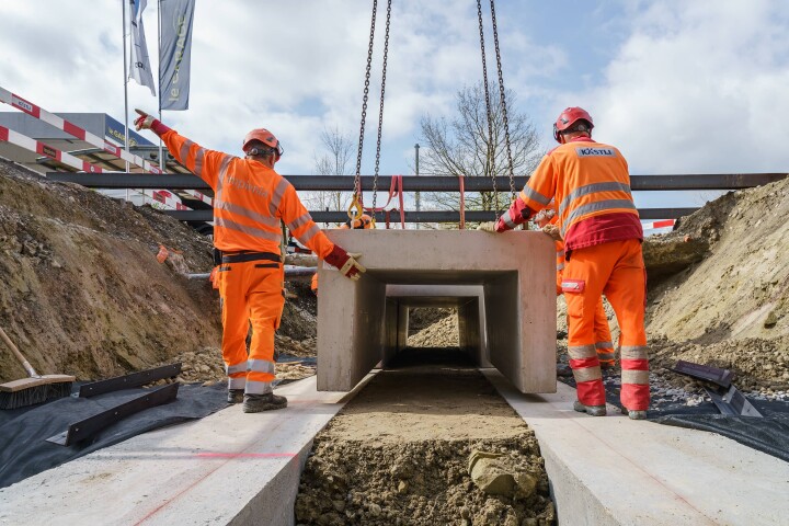 bsb news vse laupen amphibien biber 07