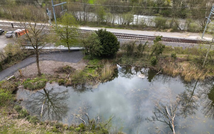 bsb news vse laupen amphibien biber 08