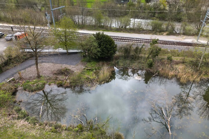 bsb news vse laupen amphibien biber 08