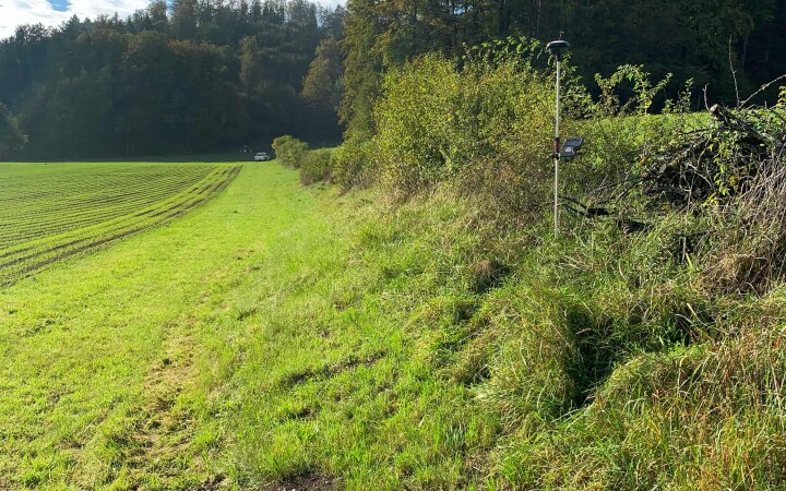 bsb news gesamtmelioration 01