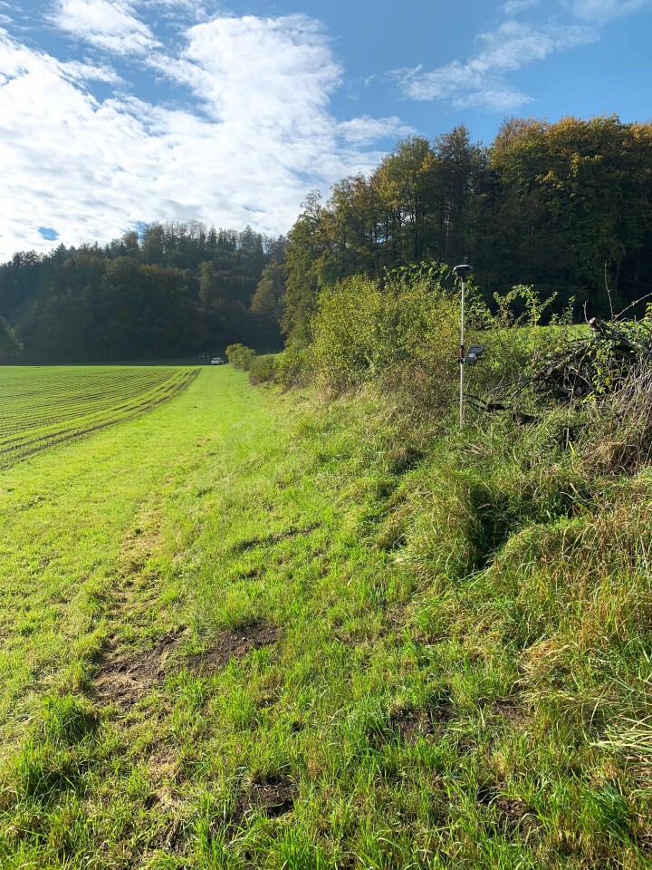 bsb news gesamtmelioration 01