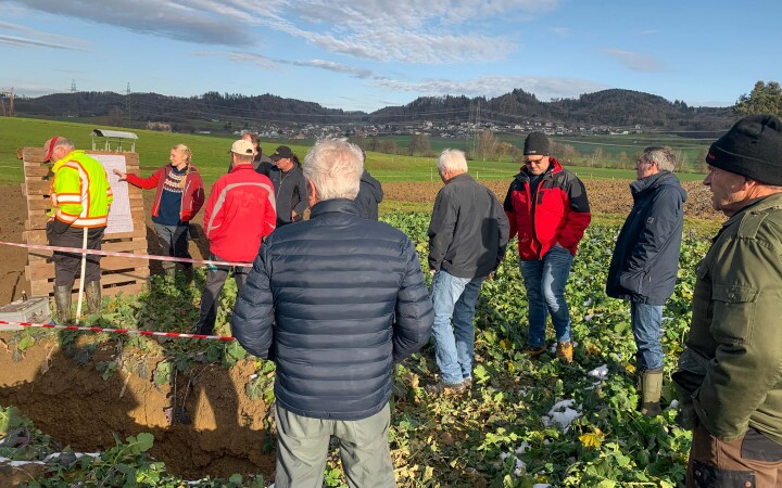 bsb news gesamtmelioration 04