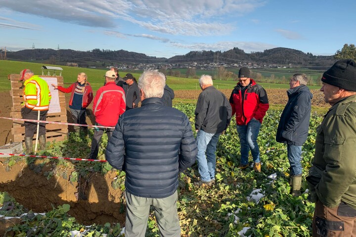 bsb news gesamtmelioration 04