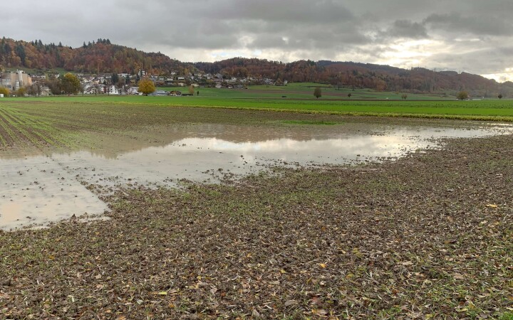 bsb news gesamtmelioration 06