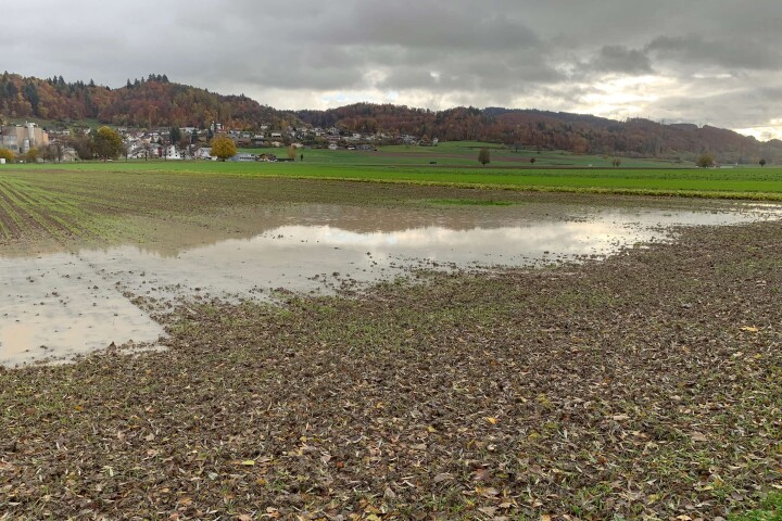 bsb news gesamtmelioration 06