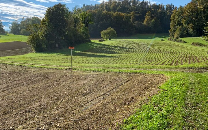 bsb news gesamtmelioration 07