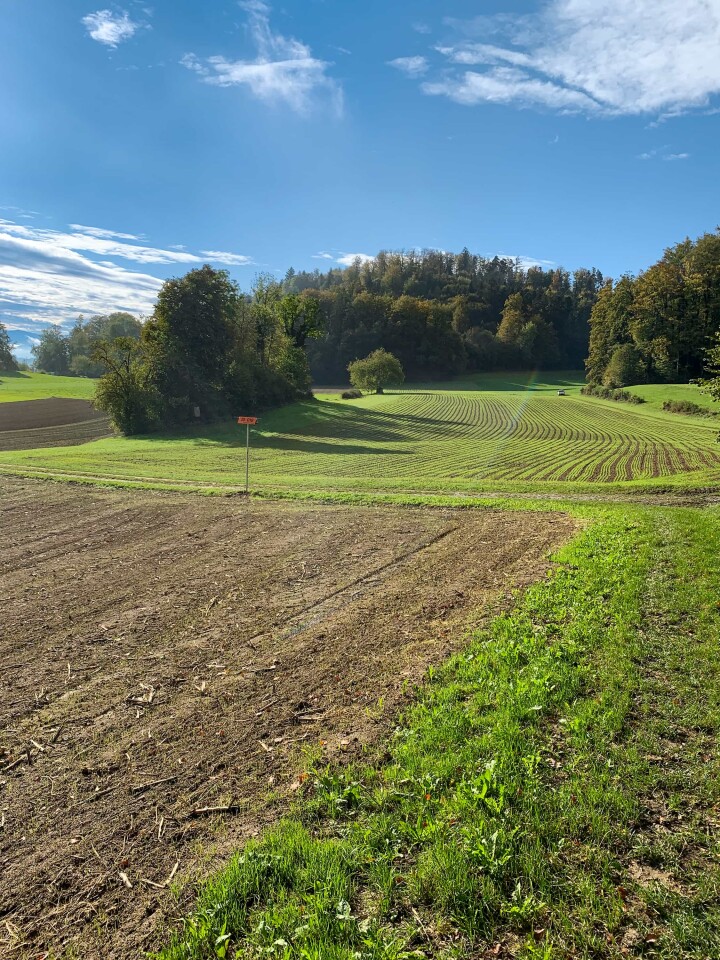 bsb news gesamtmelioration 07