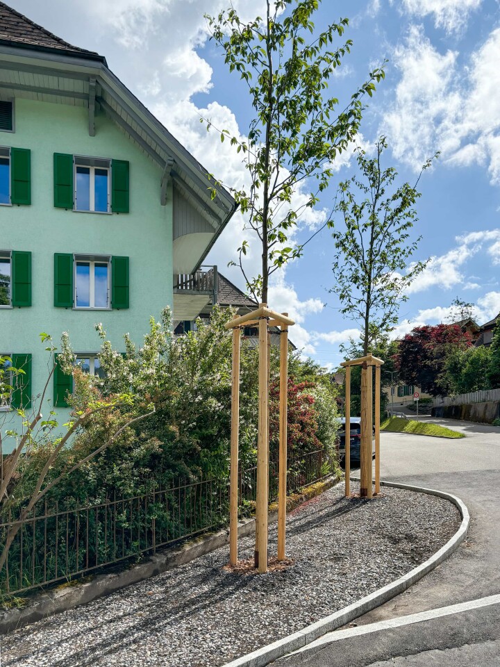 bsb news gesamtsan burgdorfstrasse langnau 08