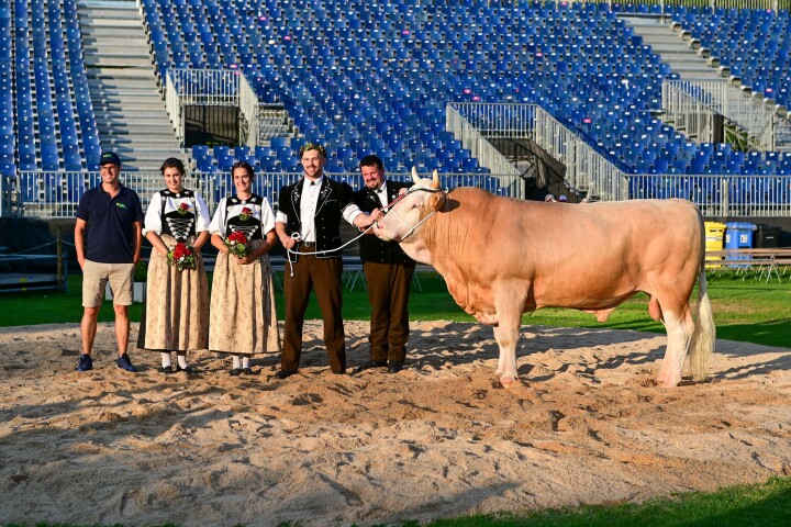 bsb news schwingfest kt bern burgdorf 06