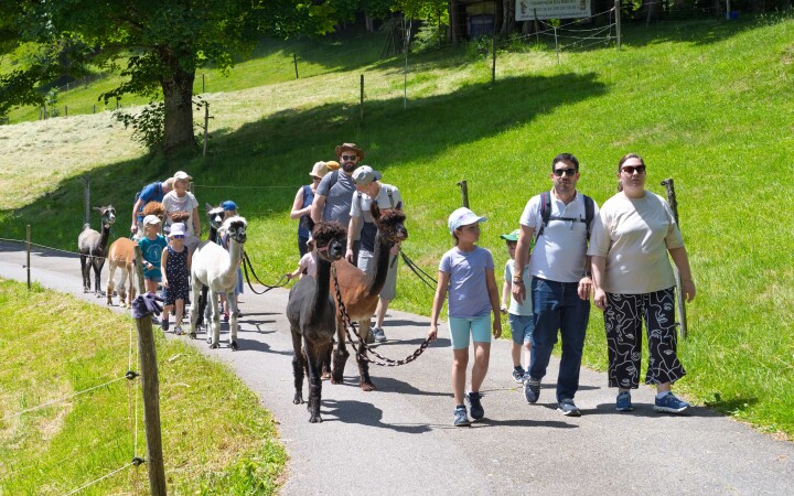 bsb news sommeranlass 2025 02