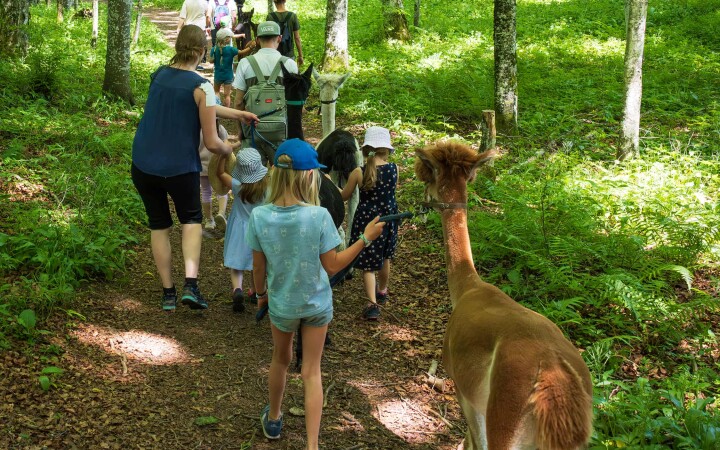 bsb news sommeranlass 2025 03