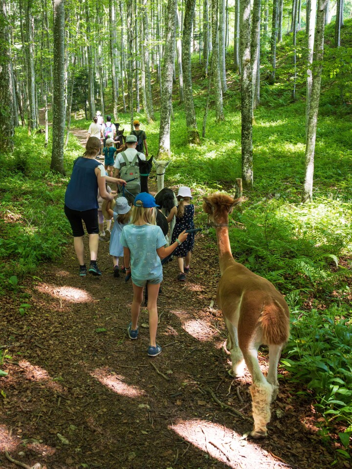 bsb news sommeranlass 2025 03