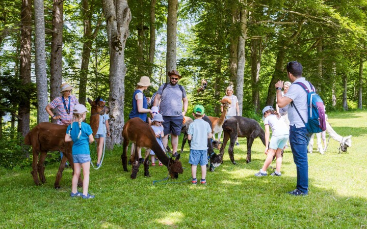 bsb news sommeranlass 2025 04