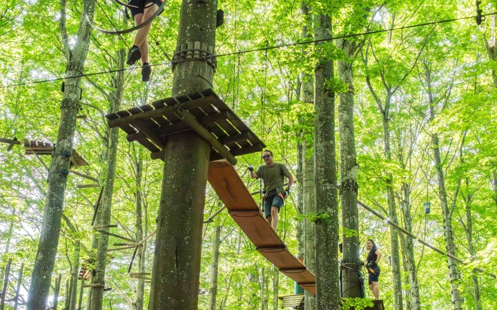 bsb news sommeranlass 2025 06