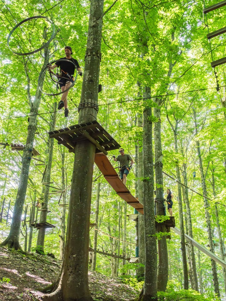 bsb news sommeranlass 2025 06