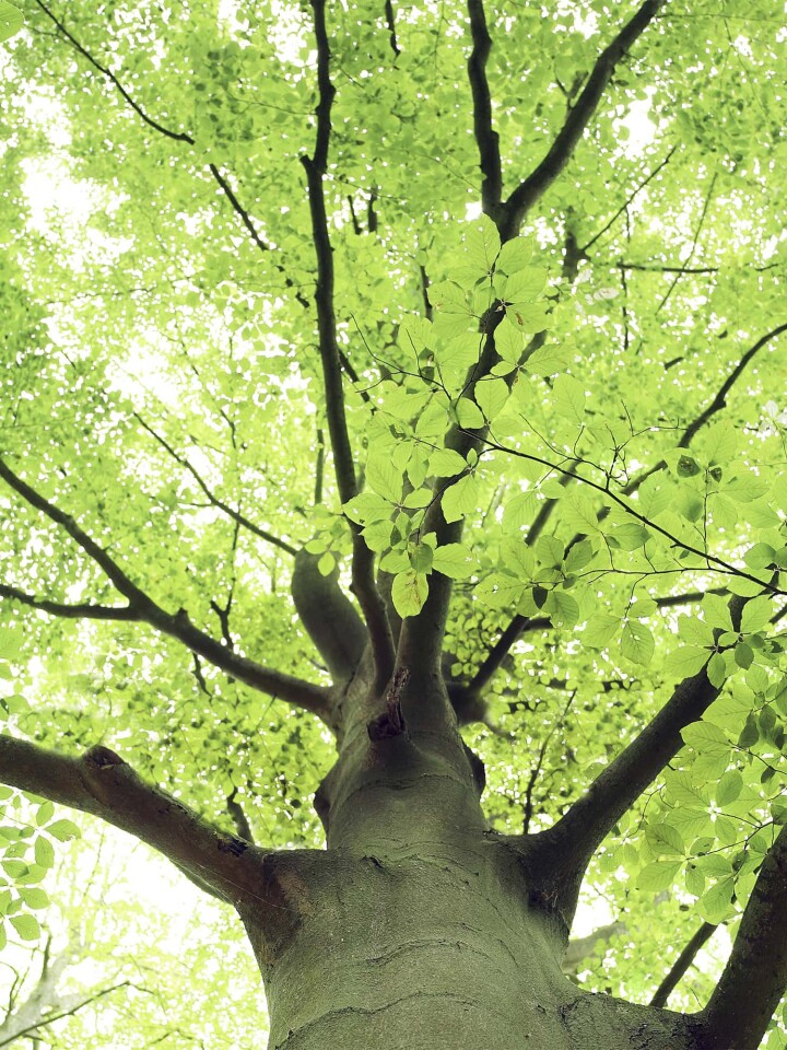 bsb fachgebiet umweltplanung energie