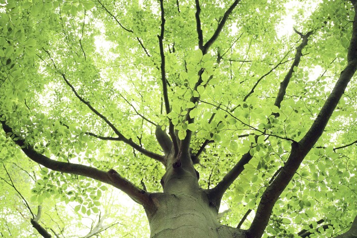 bsb fachgebiet umweltplanung energie