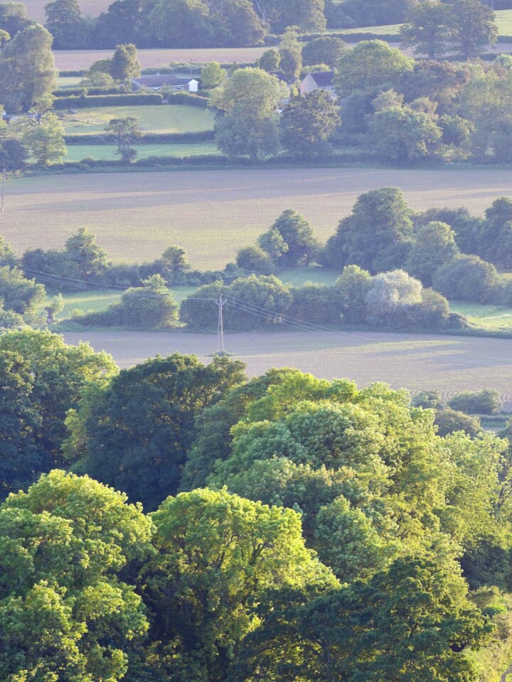 bsb fachgebiet natur landschaft landwirtschaft