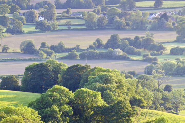 bsb fachgebiet natur landschaft landwirtschaft