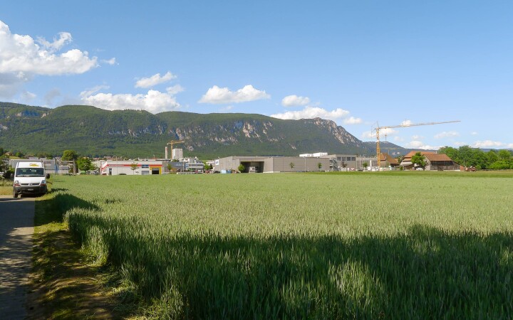 bsb nutzungsplanung hofgarten 05