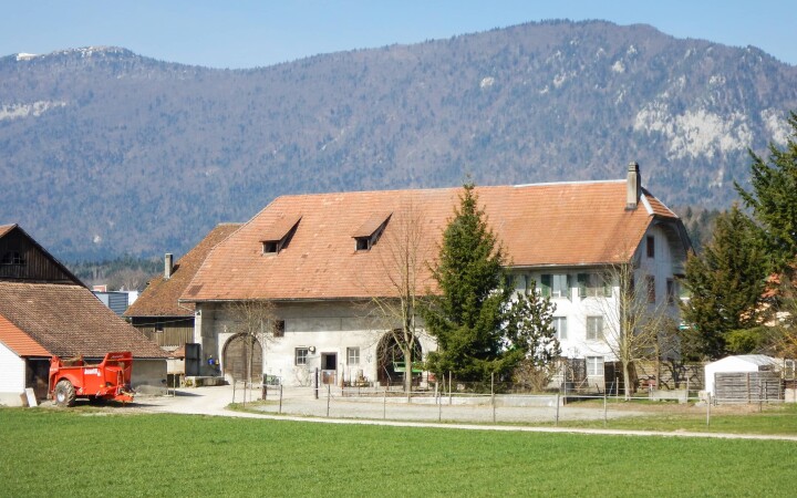 bsb nutzungsplanung hofgarten 07