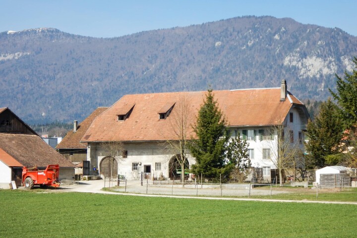 bsb nutzungsplanung hofgarten 07