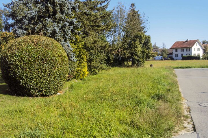 bsb gruenflaechenkonzept biberist 03