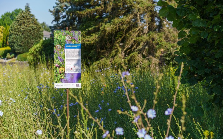 bsb gruenflaechenkonzept biberist 04