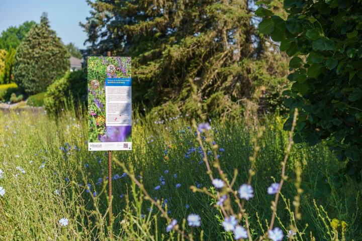 bsb gruenflaechenkonzept biberist 04