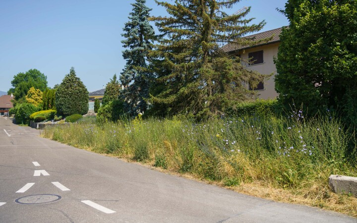 bsb gruenflaechenkonzept biberist 05