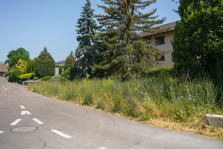 bsb gruenflaechenkonzept biberist 05