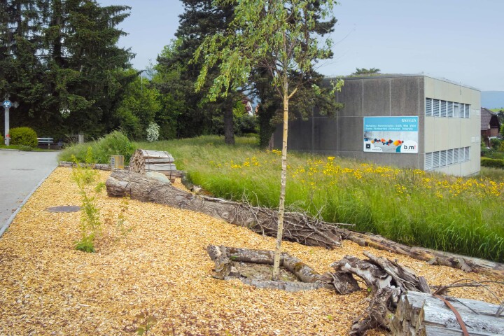 bsb gruenflaechenkonzept biberist 06