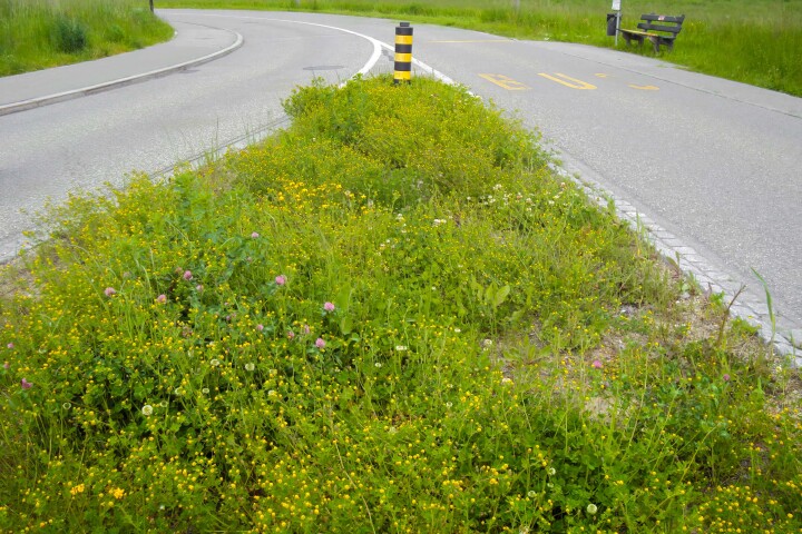 bsb gruenflaechenkonzept biberist 08