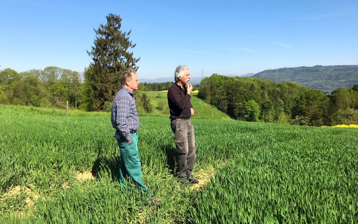 bsb gesamtmelioration eiken 01