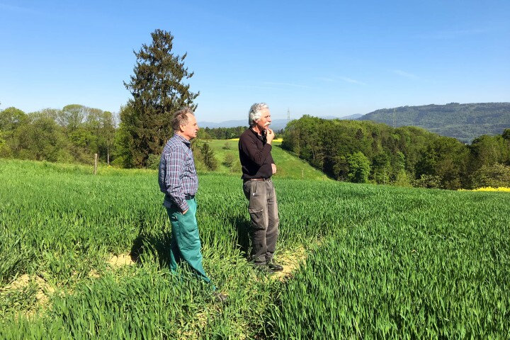 bsb gesamtmelioration eiken 01