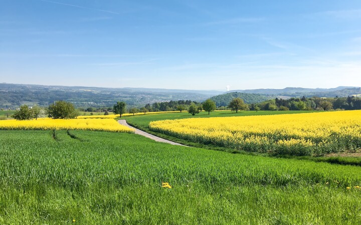 bsb gesamtmelioration eiken 02