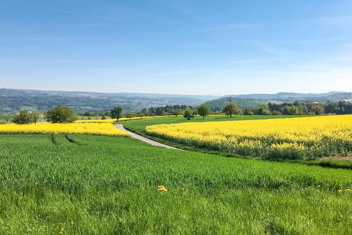 bsb gesamtmelioration eiken 02