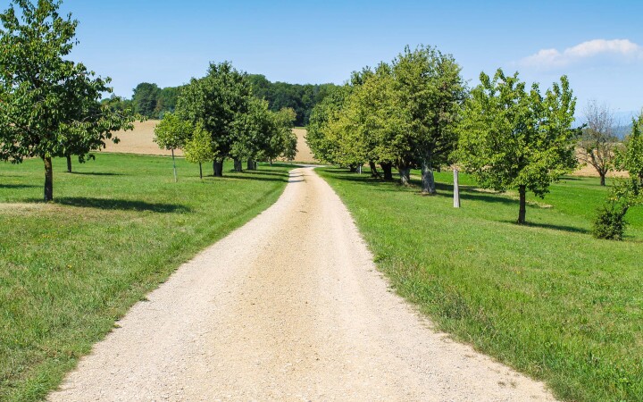 bsb gesamtmelioration eiken 03