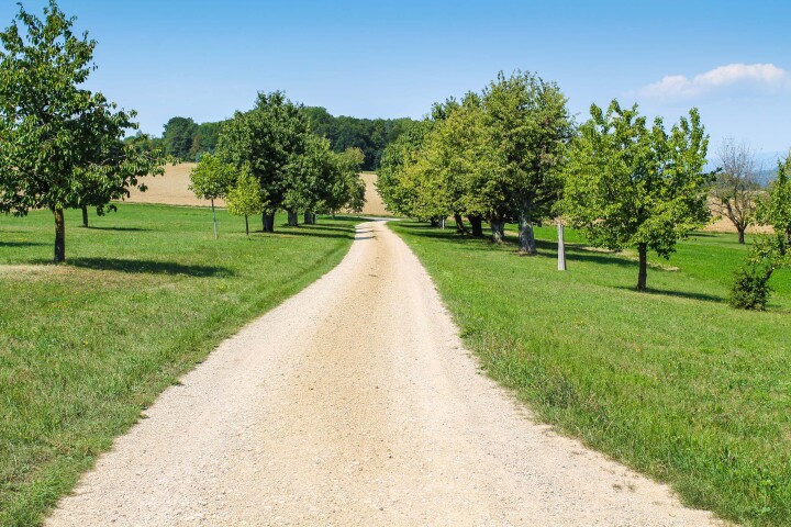 bsb gesamtmelioration eiken 03