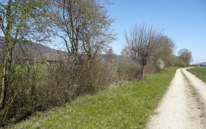 bsb gewaesserunterhalt kestenholz 01