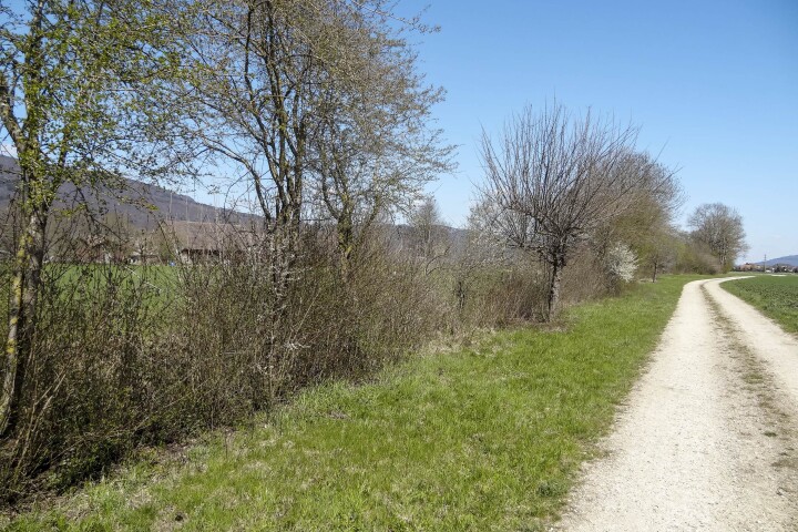 bsb gewaesserunterhalt kestenholz 01