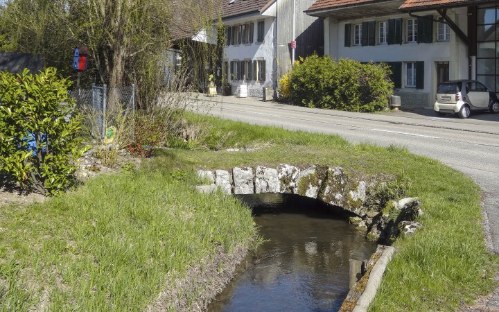 bsb gewaesserunterhalt kestenholz 02