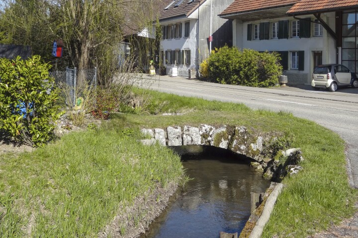 bsb gewaesserunterhalt kestenholz 02