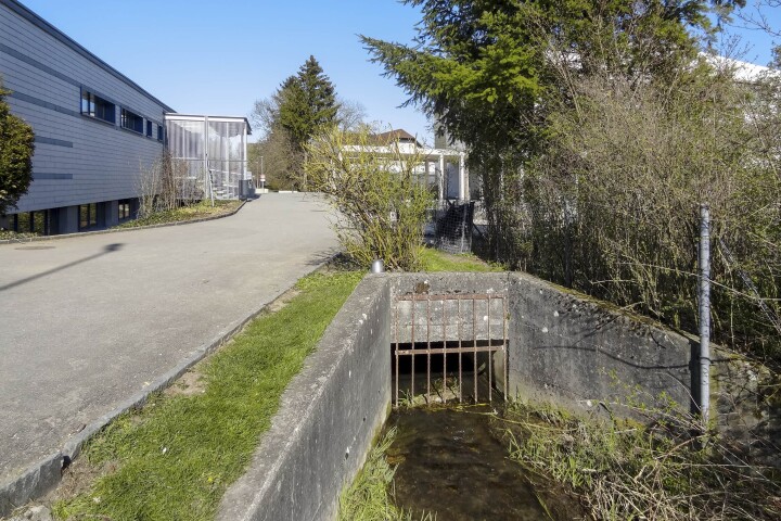 bsb gewaesserunterhalt kestenholz 03