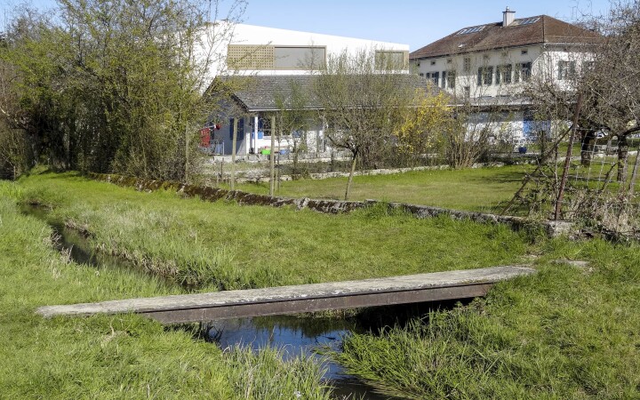 bsb gewaesserunterhalt kestenholz 04